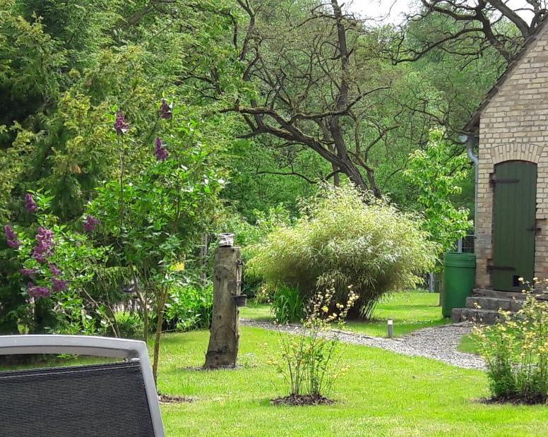 Gutshaus Zietlitz Hotel Dobbin-Linstow Bagian luar foto