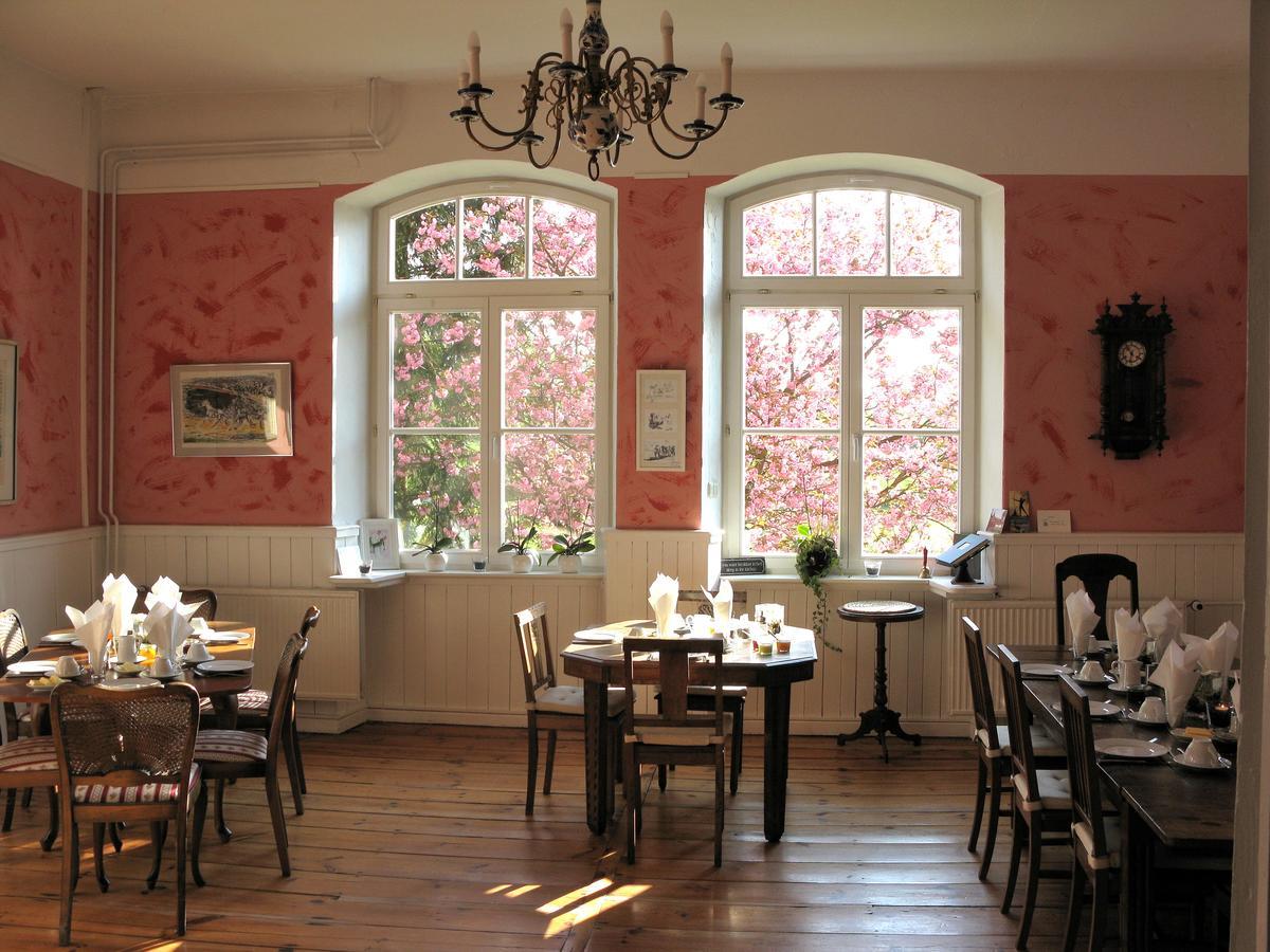 Gutshaus Zietlitz Hotel Dobbin-Linstow Bagian luar foto